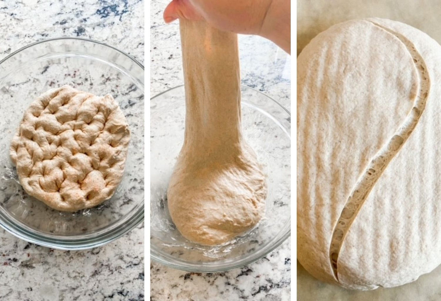 From Gluten-Intolerant to Sourdough Daily