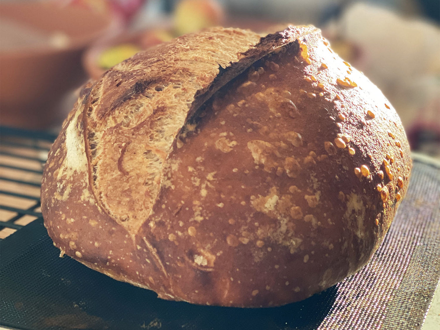 Fourneau Factory Lunch - White Bean Spread and Sourdough